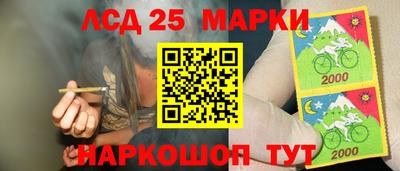 шишки Тулун