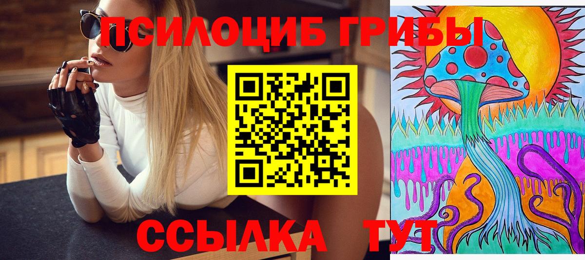 Псилоцибиновые грибы GOLDEN TEACHER Жигулёвск